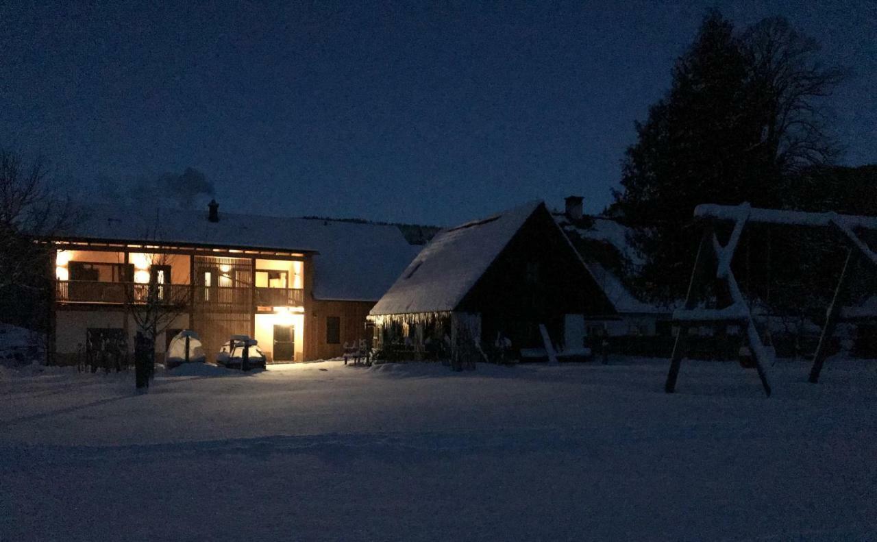 Ferienwohnungen Orth Lassing  المظهر الخارجي الصورة